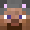 Player skin of Player