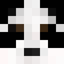 Player skin of Plysakus