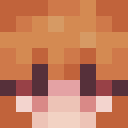 Player skin of Pmudy