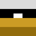 Player skin of Popall21