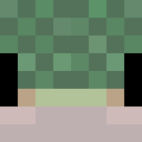 Player skin of PricklyPear327