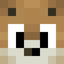 Player skin of ProTiger