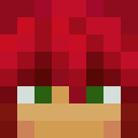 Player skin of Proko__
