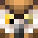 Player skin of Quantum_YT22