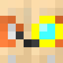 Player skin of RCMike53