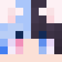 Player skin of RR2342