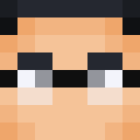 Player skin of Robidemon2