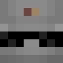 Player skin of Robotakk
