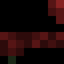 Player skin of Rollyeinstein