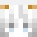 Player skin of SG_IQ