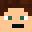 Player skin of Salylonica