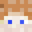 Player skin of Schmoo0013