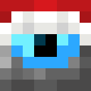 Player skin of Seelvers