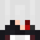 Player skin of SeiunZ