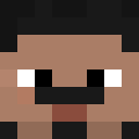 Player skin of SepukuSamurai