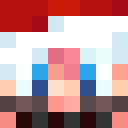Player skin of SindreM08