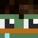 Player skin of SirErbse