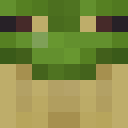 Player skin of Sir_Frogg