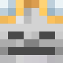 Player skin of SkyWraith