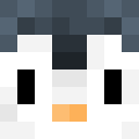 Player skin of Sky_create