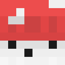 Player skin of SlashGamerX