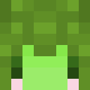 Player skin of Smelly_09