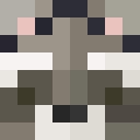 Player skin of SpeXe