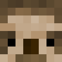 Player skin of Spector_MC