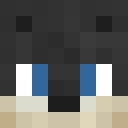 Player skin of Spectro