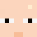 Player skin of SpiffyRug