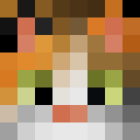 Player skin of SplashCannon477