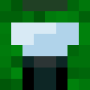 Player skin of SquidgyDragoon2