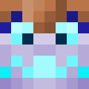 Player skin of StarlightGuards