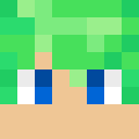 Player skin of Stealthcattube