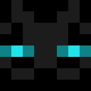 Player skin of Steve2244