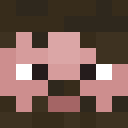 Player skin of SteveParrot