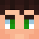 Player skin of StonyTark1