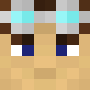 Player skin of Survetman