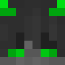Player skin of SxW__