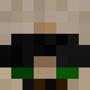 Player skin of TPesto