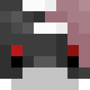 Player skin of Tau434