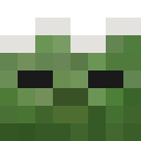 Player skin of TechyFlea370333