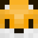 Player skin of TheAntCraft