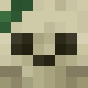 Player skin of TheBst