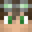 Player skin of TheFallenKing