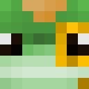 Player skin of TheParkerja