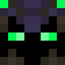 Player skin of TheRednax