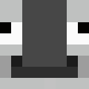 Player skin of The_Burd