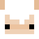 Player skin of The_Sheeplord