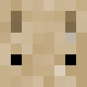 Player skin of The_porridge_cat